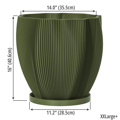 Avocado Green Coconut