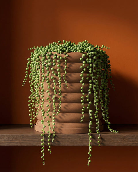 A string of pearls plant spills over the side of a brown, ribbed planter pot on a wooden shelf against a brown wall.