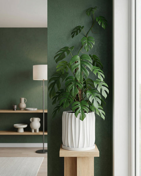 A white planter pot with a polka dot plant sits on a round concrete table. A rug and bench are in the background.