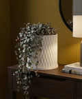 A string of pearls plant spills from a white, textured planter pot on a wooden console table in a room with dark green walls.