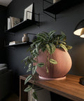 A pink planter pot with a green plant inside sits on a gray countertop next to a window. The pot has a ribbed design and is slightly flared at the top. The plant has round, green leaves. The countertop is made of a concrete-like material. In the background, there is a gray wall with a painting and a floor lamp.