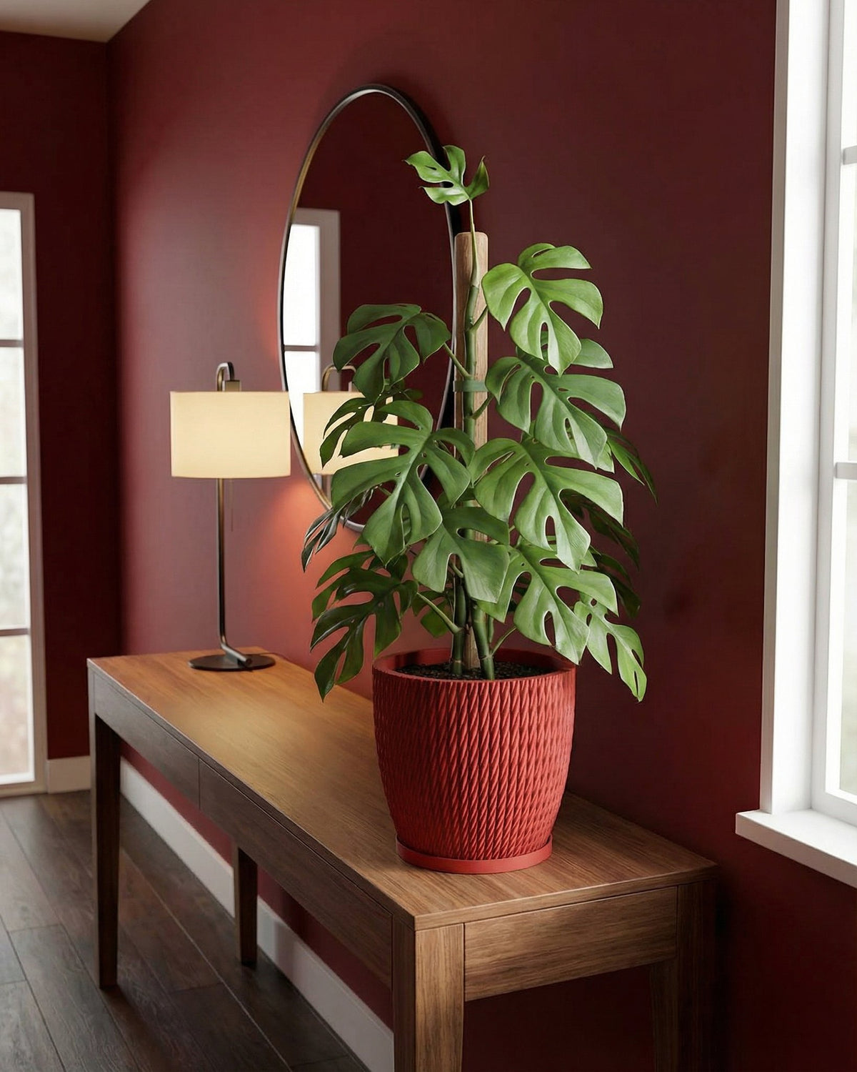 A red planter pot with a monstera plant sits on a wooden table in a room with red walls.