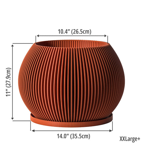 Terracotta Orange Melon