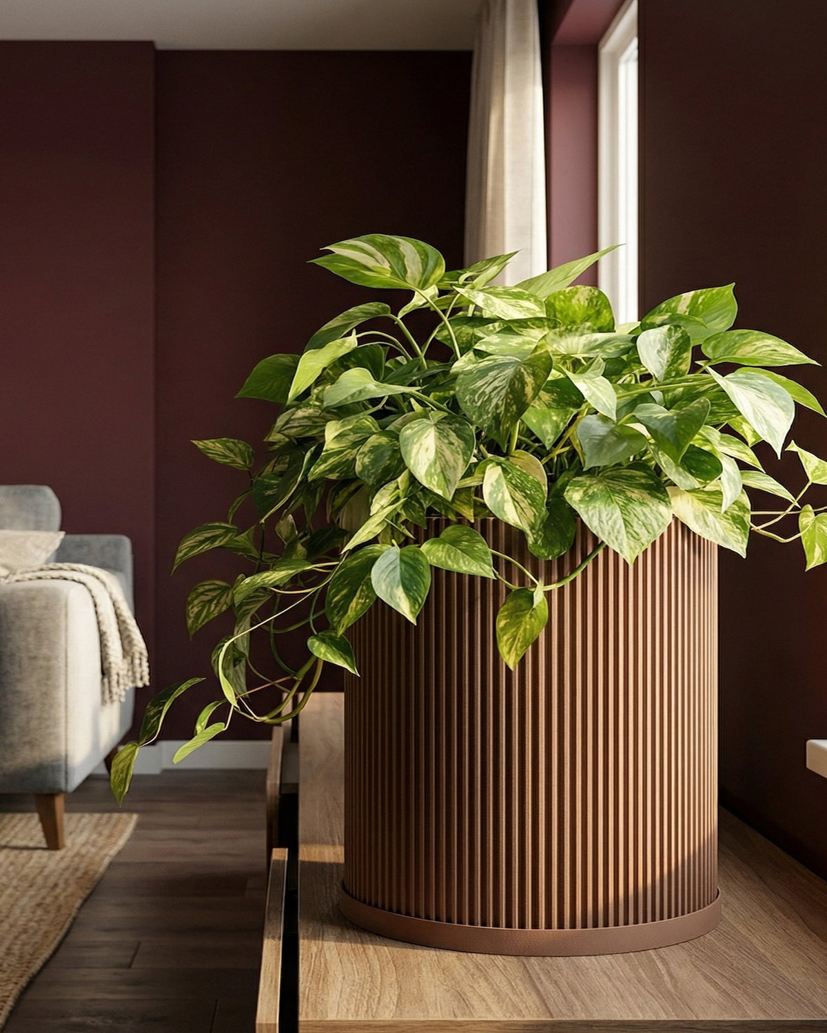A potted pothos plant sits atop a wooden table. The planter pot is a brown, cylindrical design with vertical ribbing.