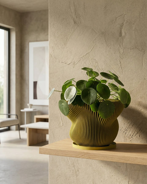 A vibrant green plant sits in a modern, striped planter pot, casting a shadow on the dark gray wall behind it.