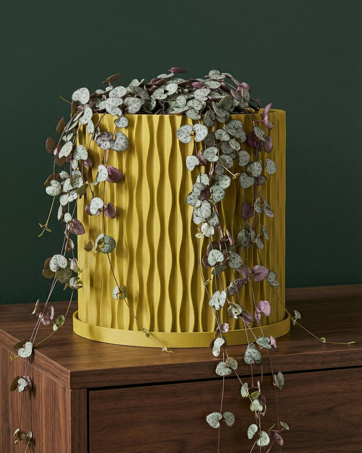 A yellow planter pot with a green plant sits on a windowsill, bathed in sunlight. The pot has a textured, swirling design.