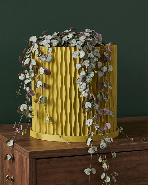 A yellow planter pot with a green plant sits on a windowsill, bathed in sunlight. The pot has a textured, swirling design.