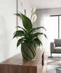 A green planter pot with a plant sits on a wooden table in a room with a rug and a basket hanging on the wall.