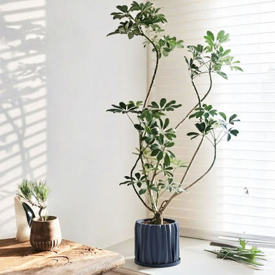 Deep Ocean Blue Kurtain