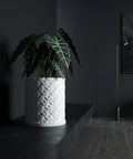 A snake plant in a white planter sits on a wooden console table in a blue entryway.