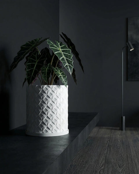 A snake plant in a white planter sits on a wooden console table in a blue entryway.