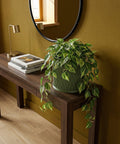 A green planter pot with a plant sits on a wooden table in a room with a rug and a basket hanging on the wall.