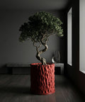A bonsai tree in a red, textured planter pot sits on a dark wood floor in a room with gray walls and a window.