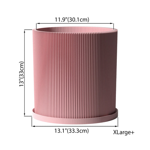 Candy Pink Ray