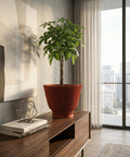 A money tree plant sits in a ribbed, terracotta-colored planter on a wooden cabinet. The cabinet also holds books and a geometric sculpture. A large window with sheer curtains is in the background, offering a view of a city skyline.