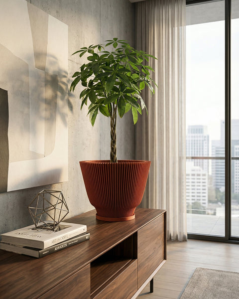 A money tree plant sits in a ribbed, terracotta-colored planter on a wooden cabinet. The cabinet also holds books and a geometric sculpture. A large window with sheer curtains is in the background, offering a view of a city skyline.