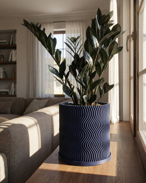 A ZZ plant is potted in a dark blue planter with a wavy design. The planter sits on a wooden surface near a window.
