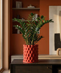 A vibrant red planter pot with a unique bubble pattern, holding a lush green ZZ plant, sits atop a dark wood cabinet in a warm, inviting room.