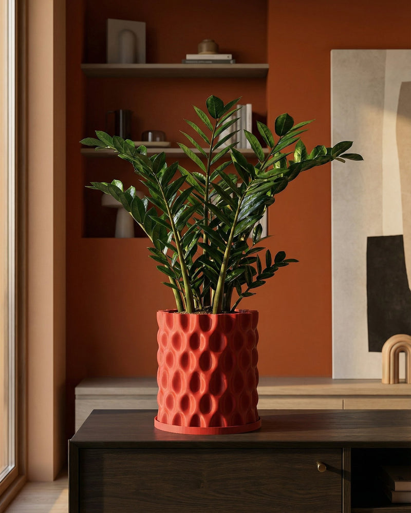 A vibrant red planter pot with a unique bubble pattern, holding a lush green ZZ plant, sits atop a dark wood cabinet in a warm, inviting room.