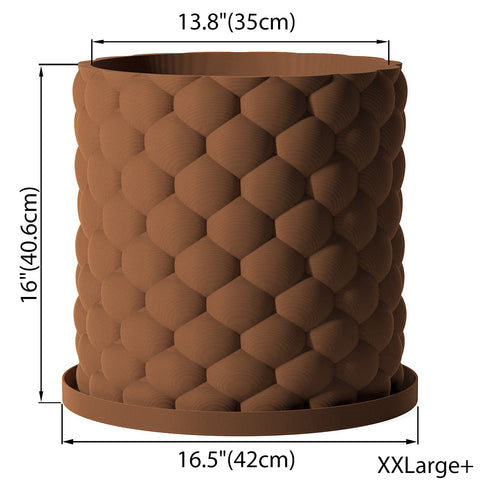 Nut Brown Bubble