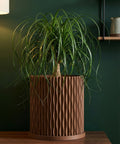 A Monstera plant sits in a brown, textured planter pot on a light wooden windowsill. The plant has green and white variegated leaves.