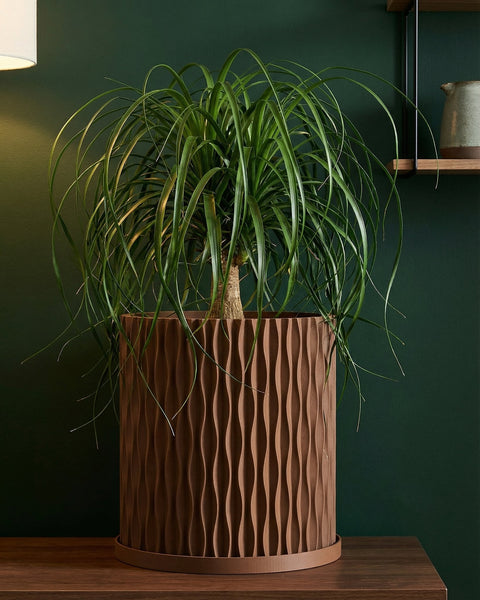 A Monstera plant sits in a brown, textured planter pot on a light wooden windowsill. The plant has green and white variegated leaves.