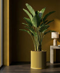 A large bird of paradise plant in a yellow ribbed planter pot sits on a dark wood floor next to a gray side table and lamp.