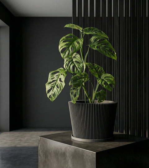 A string of pearls plant in a gray geometric planter pot sits on a windowsill with natural light.