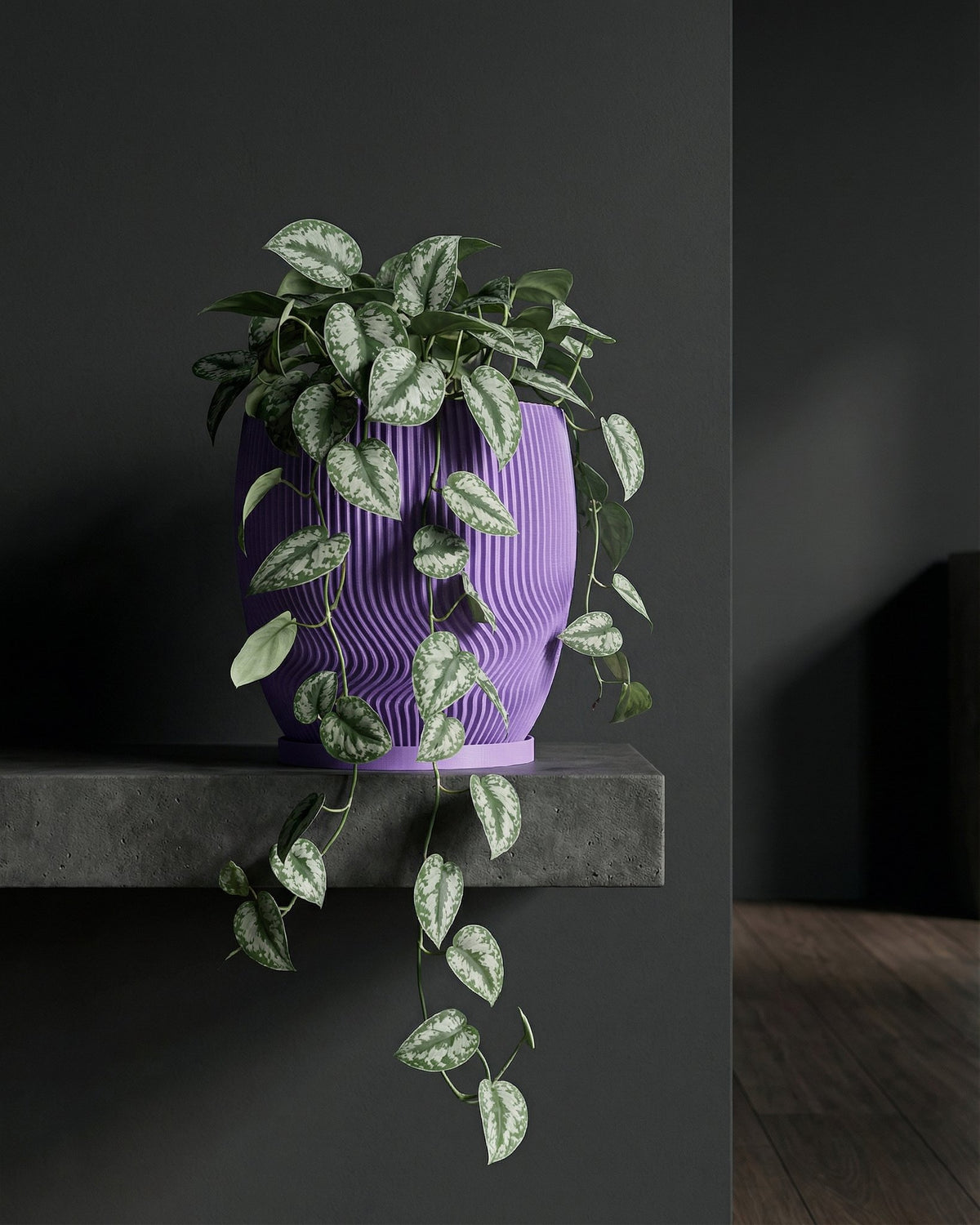 A purple planter pot with a plant on a gray shelf against a dark gray wall. The plant has green and white leaves.
