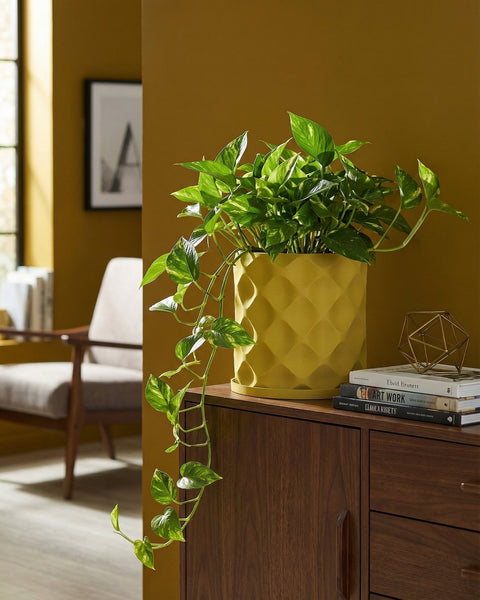 A vibrant pothos plant cascades from a yellow geometric planter atop a wooden cabinet, next to a stack of books and a golden geometric sculpture.