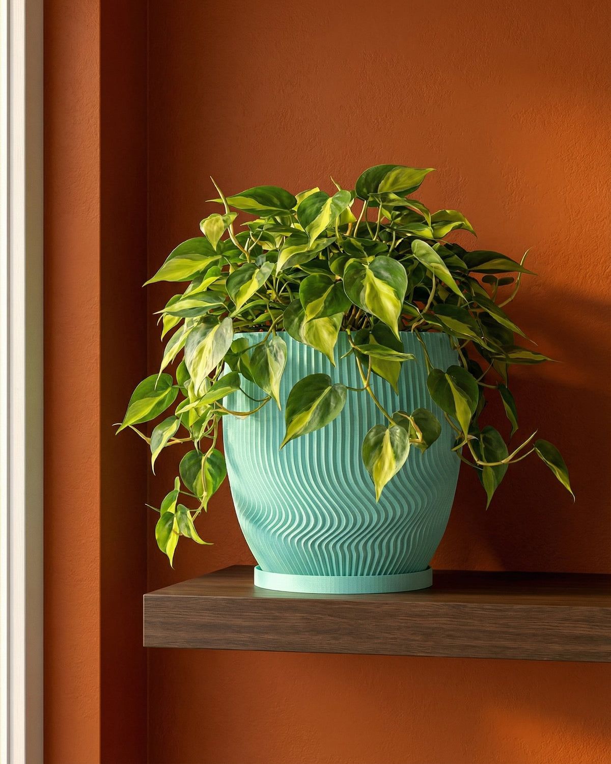 A Philodendron plant in a light blue planter pot with a wavy design, sitting on a dark brown shelf against an orange wall.