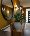 A gray, textured planter pot with a peace lily sits on a wooden console table in a modern entryway with a round mirror.