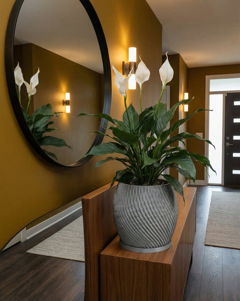 A gray, textured planter pot with a peace lily sits on a wooden console table in a modern entryway with a round mirror.