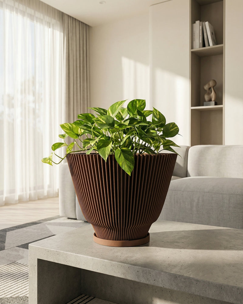 A green pothos plant sits in a brown, vertically-striped planter pot on a concrete table. The pot has a matching saucer. The background features a bright, modern living room with sheer curtains, a gray sofa, and a built-in bookshelf.