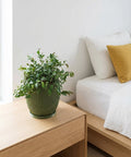 A green planter pot with a plant sits on a wooden nightstand next to a bed with white linens and a yellow pillow.