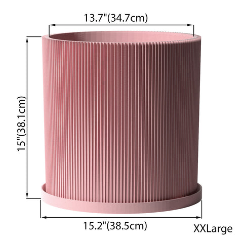Candy Pink Ray