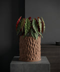 A begonia plant in a brown textured planter pot sits on a gray concrete stand against a dark gray background.