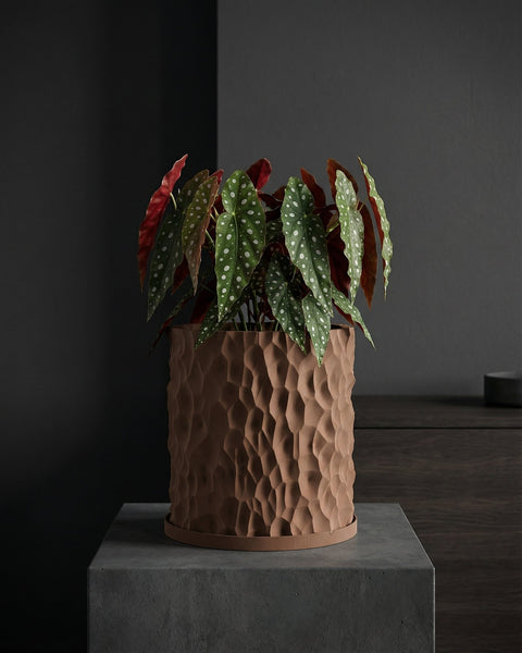 A begonia plant in a brown textured planter pot sits on a gray concrete stand against a dark gray background.