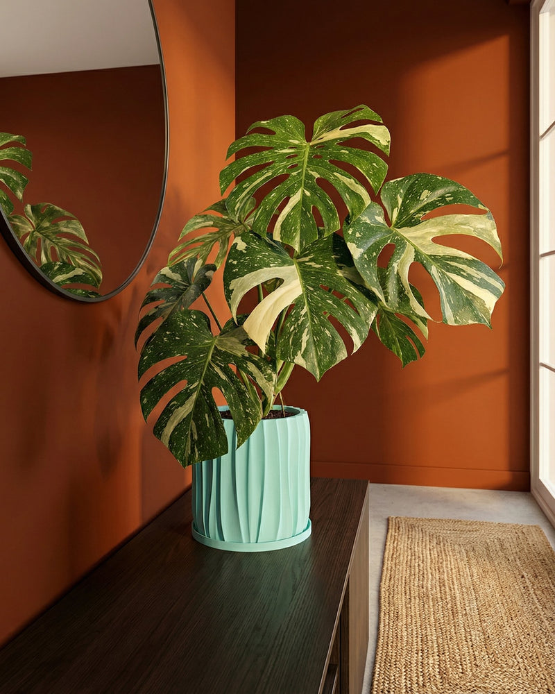 A light blue planter with a plant sits on a wooden windowsill in front of a window.