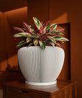 A white, ridged planter pot with a colorful plant inside sits on a wooden cabinet against a warm, brown wall.