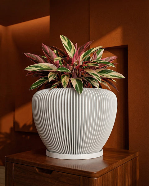 A white, ridged planter pot with a colorful plant inside sits on a wooden cabinet against a warm, brown wall.