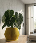 A close-up shot showcases a vibrant yellow planter pot with a unique ribbed texture, holding a lush green Pilea peperomioides, commonly known as the Chinese money plant. The pot sits atop a sleek, wooden dresser, with a modern art piece and decorative object subtly placed in the background. The scene is bathed in soft, natural light, highlighting the plant's glossy leaves and the pot's distinctive design.