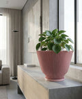 A pink planter pot with a green plant inside sits on a gray countertop next to a window. The pot has a ribbed design and is slightly flared at the top. The plant has round, green leaves. The countertop is made of a concrete-like material. In the background, there is a gray wall with a painting and a floor lamp.