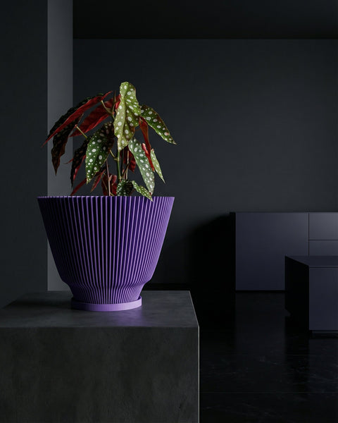 A purple planter pot with a plant inside sits on a dark gray table in a room with dark gray walls and a dark gray floor. The planter pot is ribbed and has a flared shape. The plant has green leaves with white spots and red undersides.