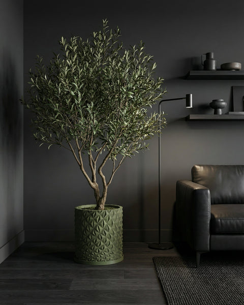 A green planter pot with a geometric design holds a large olive tree in a dimly lit room with a black couch and shelves.