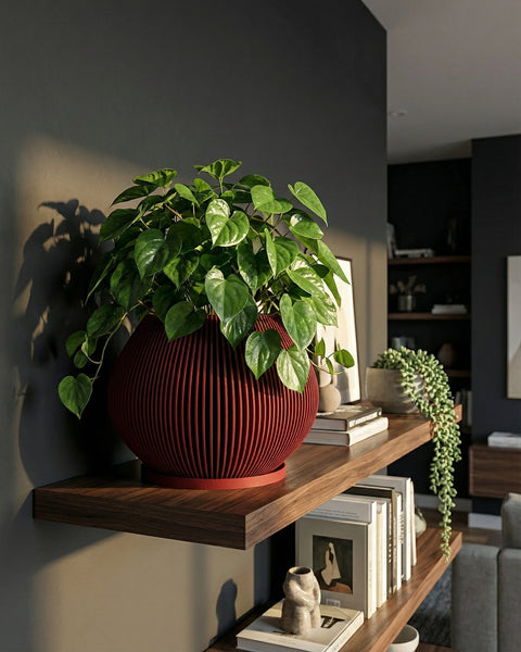 A red planter pot with a ribbed design sits on a light wood cabinet. A green plant with long, pointed leaves grows out of the pot. The background includes a window, a gray wall, a framed abstract print, and a floor lamp. A textured rug is partially visible in the foreground.