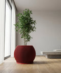 A red, round, ribbed planter pot with a green plant inside is placed on a wooden floor in a room with a window.