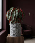 A gray planter pot with a textured, geometric design sits on a wooden table, showcasing its unique aesthetic. A plant with spotted leaves is inside.