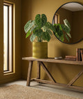 A plant in a wavy green planter pot sits on a wooden table next to a round mirror and books in a room with mustard-colored walls.