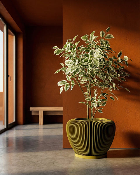 A modern interior with a vibrant green planter pot holding a leafy plant, set against a warm, textured orange wall.